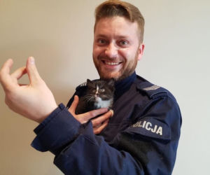 policjant przygarnął kota