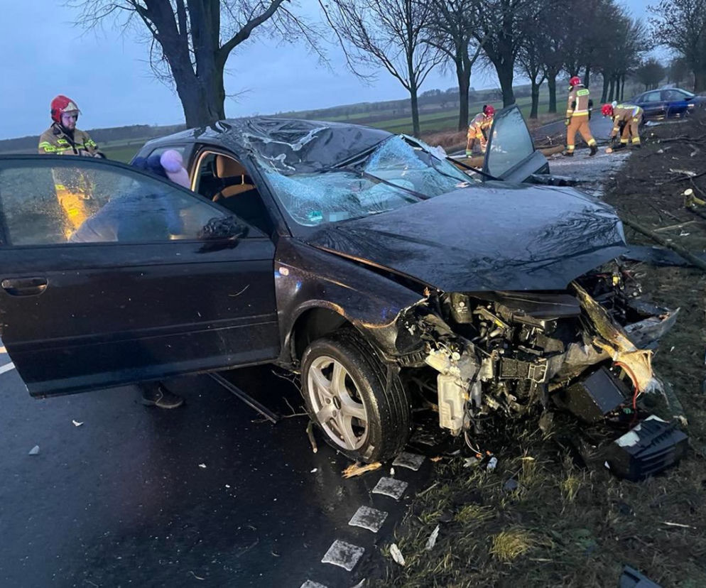 Osobówka wjechała w połamane drzewo! O krok od tragedii pod Żninem 