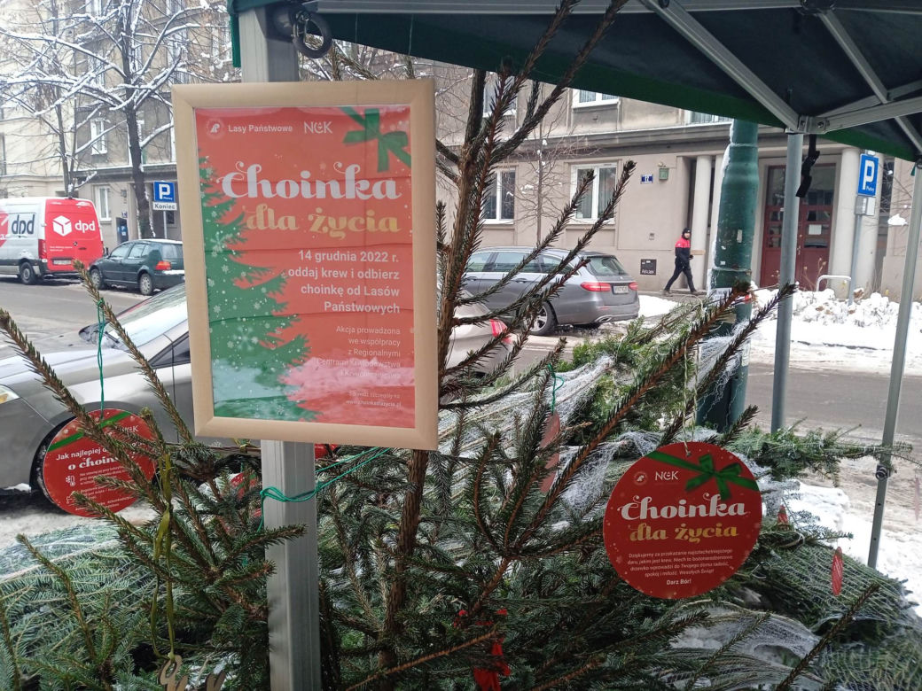Choinka dla życia. Oddaj krew i zabierz choinkę do domu