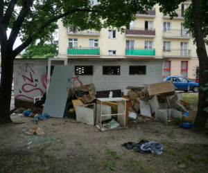 W śmietnikach czai się zaraza