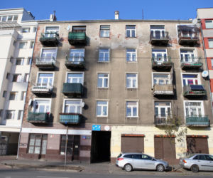 Żyją z grzybem i wilgocią