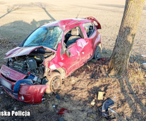 40-latek usłyszał zarzut. Rozbił auto na drzewie, z dzieckiem w środku 
