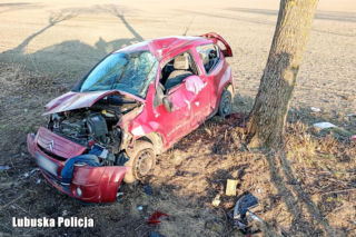 40-latek z powiatu wschowskiego usłyszał zarzut. Rozbił cudze auto na drzewie, z dzieckiem w środku 