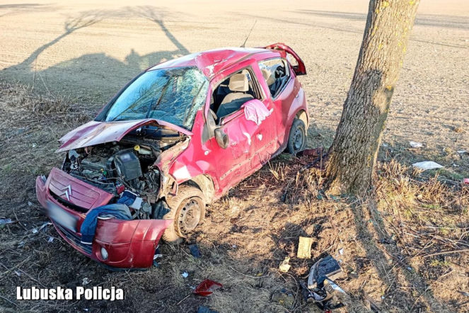 40-latek usłyszał zarzut. Rozbił auto na drzewie, z dzieckiem w środku 