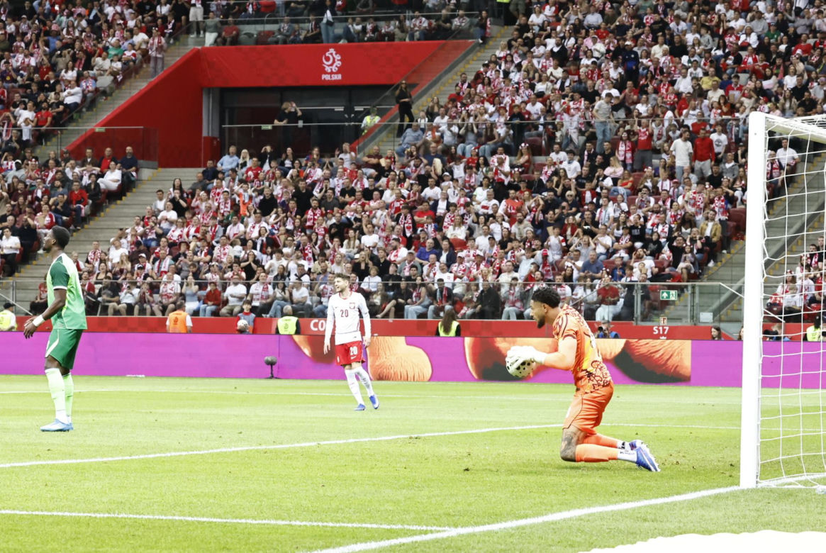 Mecz Polska-Nigeria