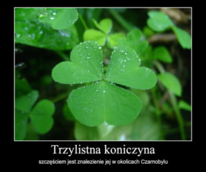 Dzień Świętego Patryka 