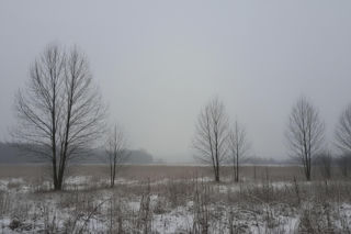 Zgierz szykuje się na chłód 03.12.2025! Czy zima zaskoczy nas już dziś?