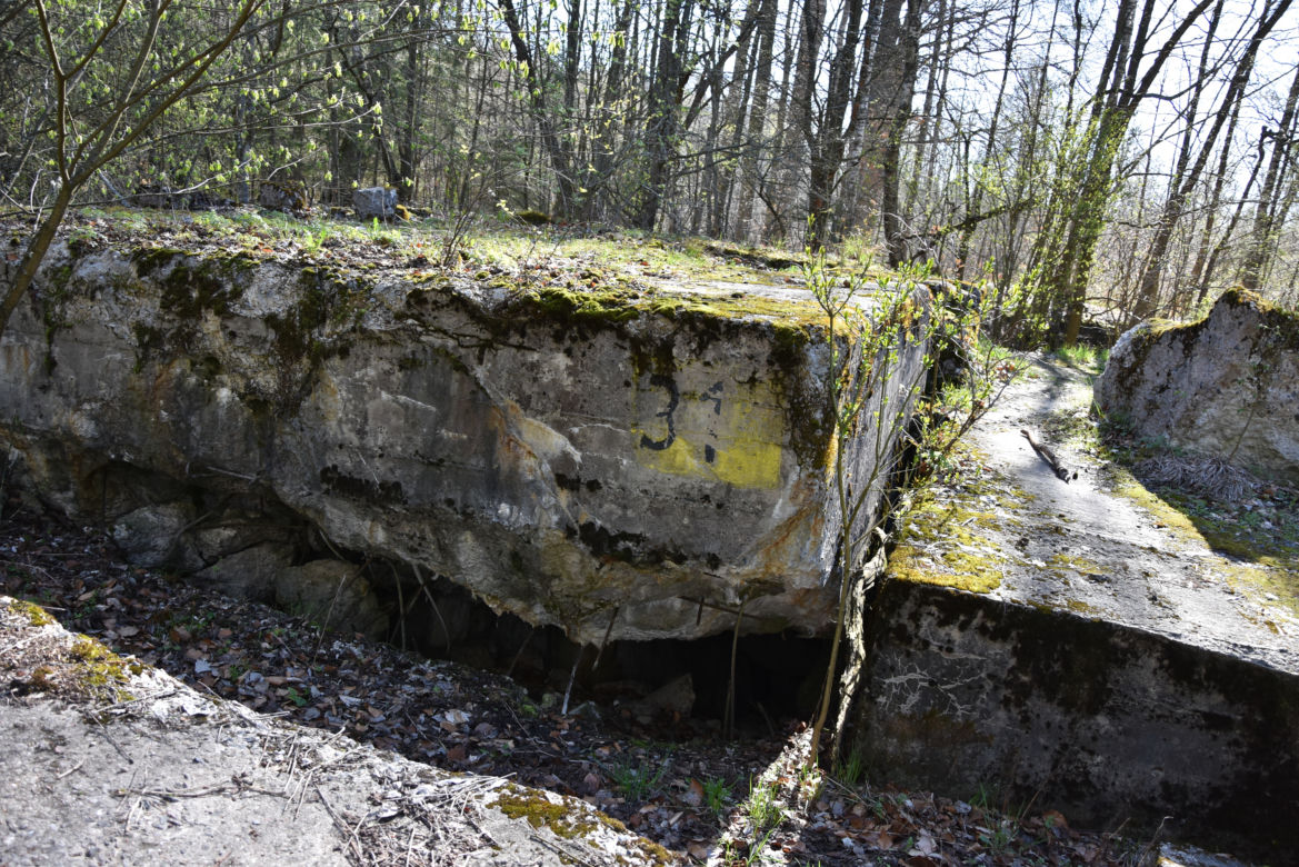 BURSZTYNOWA KOMNATA ODNALEZIONA?
