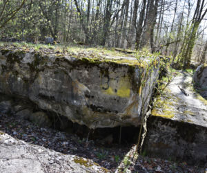 BURSZTYNOWA KOMNATA ODNALEZIONA?