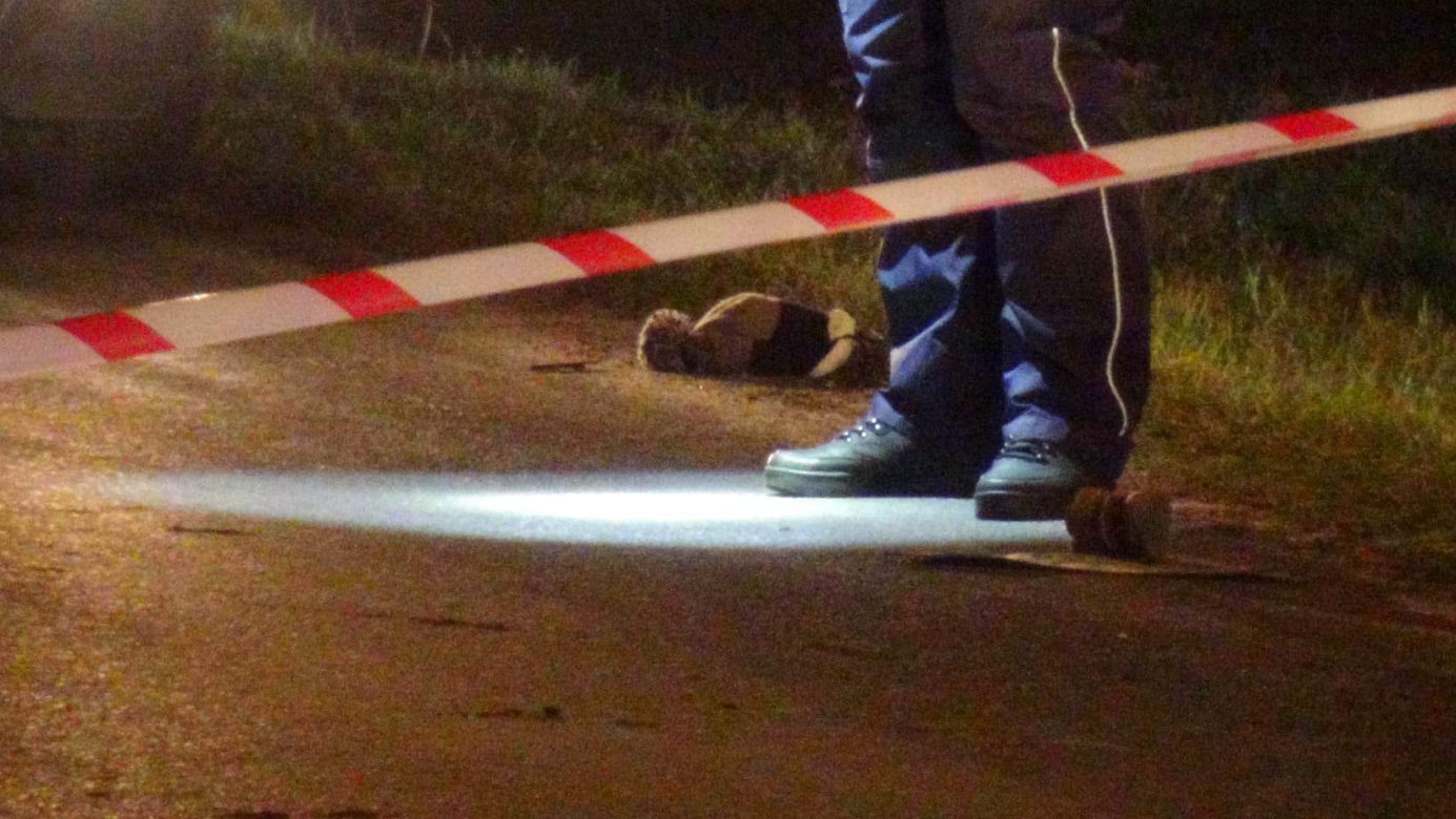 Horror pod Grodziskiem. 3-latek wbiegł wprost pod nadjeżdżające auto!