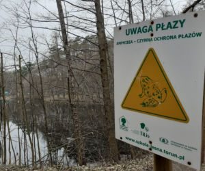 Ochrona żab na Barbarce