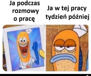 Memy o pracy
