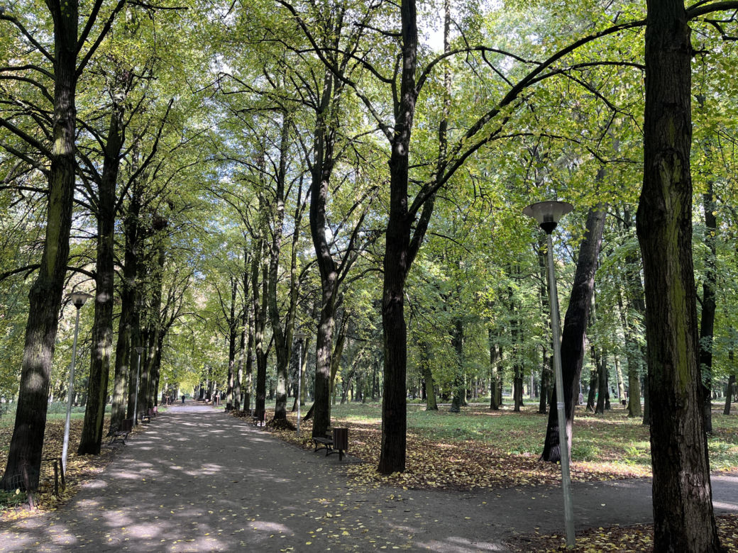 Park Kopernika w Gorzowie w jesiennej scenerii