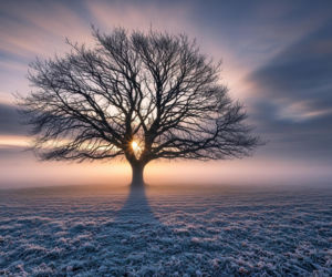 IMGW ostrzega przed przymrozkami. Gdzie wiatr będzie najgroźniejszy?