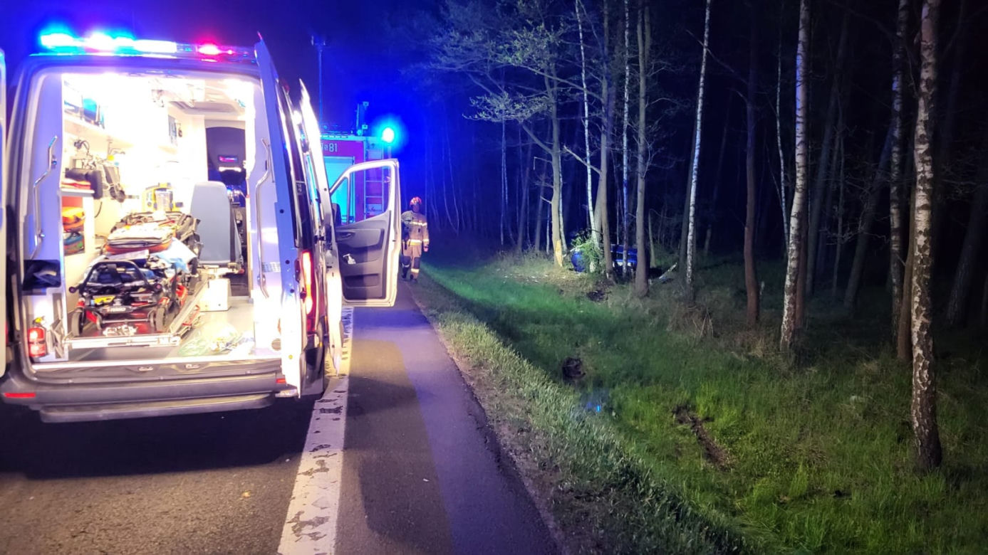 Dramatyczny wypadek w Kobiórze. 32-latka uderzyła w łosia, potem w drzewo