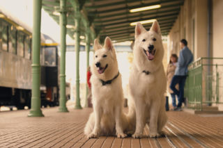 Grudniowe nowości w serwisie CANAL+. Filmy i seriale idealne na zimowe dni