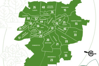 W końcu udało się stworzyć mapę tysiąca drzew, a raczej kilkuset. [LISTA]
