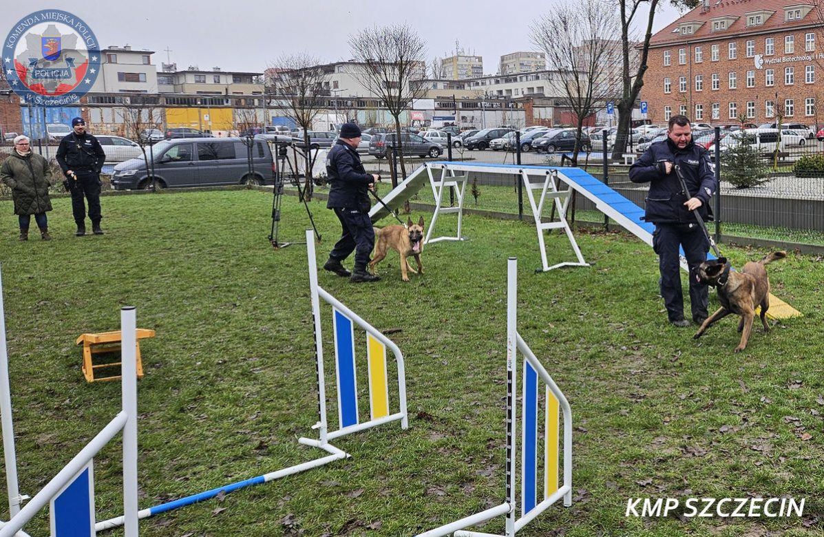 Nowe psy w zachodniopomorskiej policji