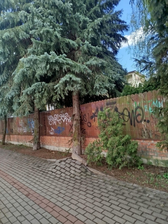 Wyjeżdżali do wypadków, pożarów i usuwania skutków wichury. Łukowscy strażacy interweniowali 69 razy w ciągu tygodnia