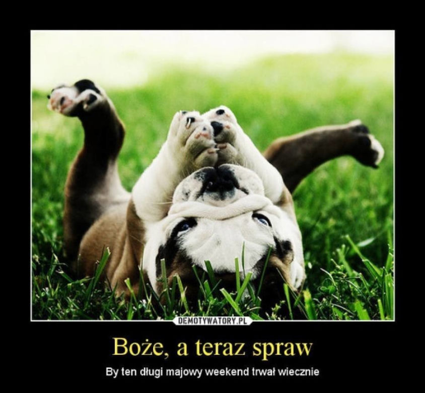 Majówka 2023 zbliża się wielkimi krokami! Zobacz najlepsze memy!