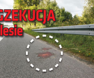Egzekucja w lesie