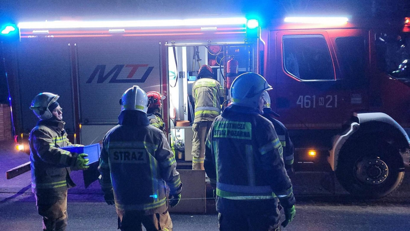 Dąb zabił emeryta. Potężne drzewo runęło na 82-latka