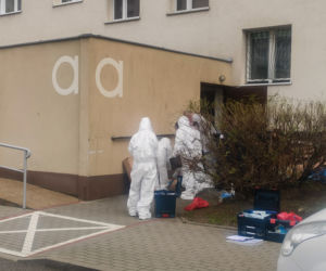 Gdańsk: Morderstwo na Żabiance. 