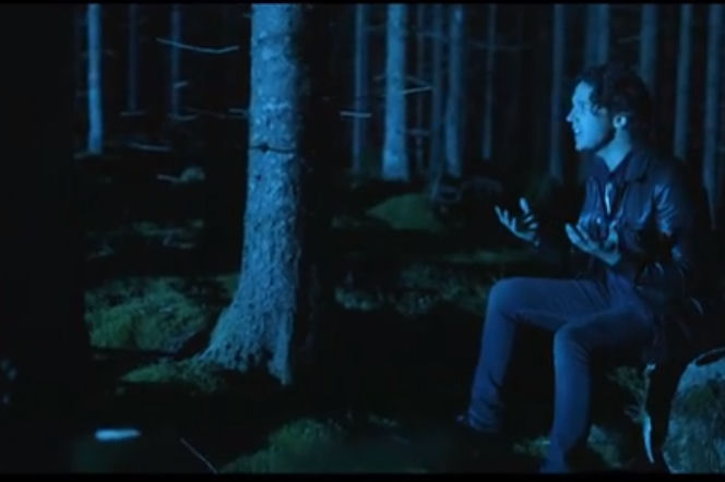 What Does the Fox Say? Na czym polega fenomen tego wideo?