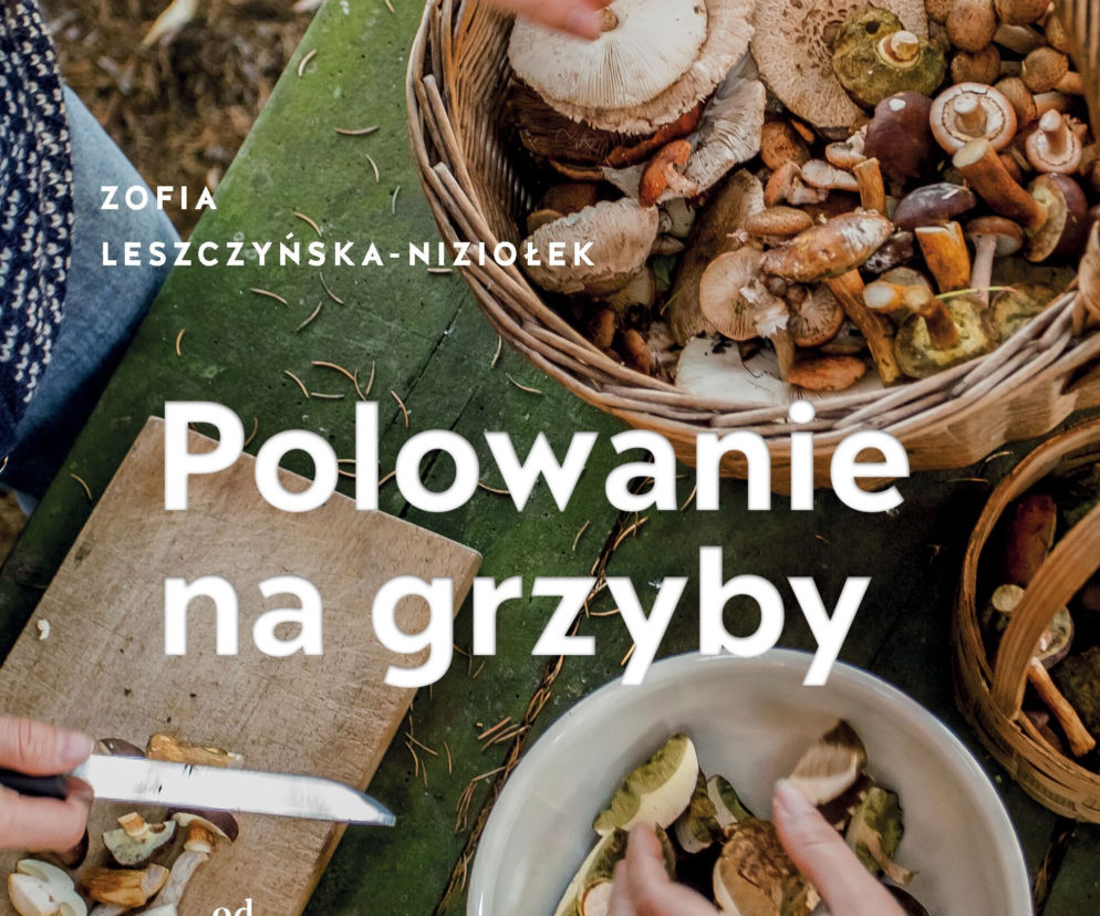 Najlepszy prezent dla grzybiarza: „Polowanie na grzyby” Zofia Leszczyńska-Niziołek