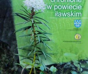 kalendarz powiatu
