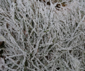 Prognoza pogody na Święta 2019
