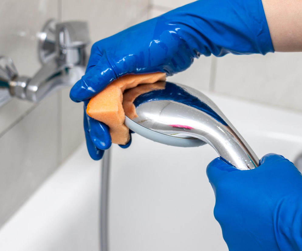 Gdy zauważysz ją w łazience od razu bierz się za sprzątanie. Eksperci mówią o zagrożeniach dla dzieci