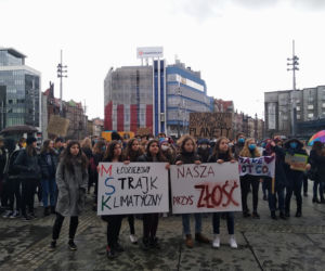 Setki młodych ludzi na ulicach Katowic! Protest klimatyczny na rynku [ZDJĘCIA]