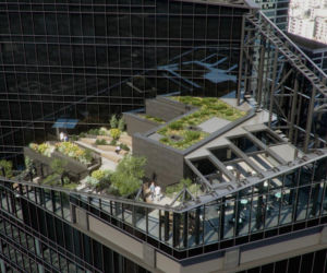 Tak będą prezentować się tarasy Skylinera