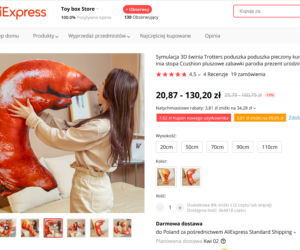 Najdziwniejsze rzeczy, jakie można kupić na AliExpress