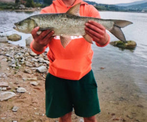 Tajemnicze zaginięcie Kamila z Jeleniej Góry. Wysłał zdjęcie i zniknął