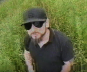 Poseł Liroy rapuje o polityce