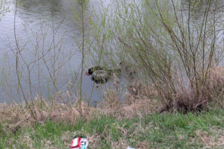 22-latek wpadł quadem do Raby. Reanimowano go na miejscu wypadku