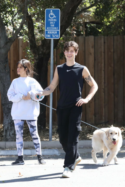 Shawn Mendes i Camila Cabello z psem na spacerze