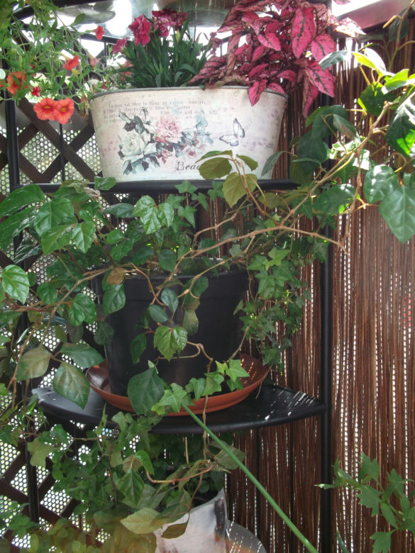 Mały balkon w wielkim mieście zdjecie nr 9