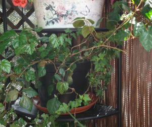 Mały balkon w wielkim mieście zdjecie nr 9