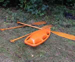 Te historie wyciskały łzy w 2025 roku. Bezsensowna śmierć, cierpienie zwierząt i niewytłumaczalna zbrodnia