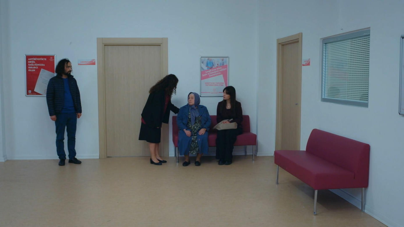 Dziedzictwo, odc. 991. Cansel, Semih, Cennet, Sibel