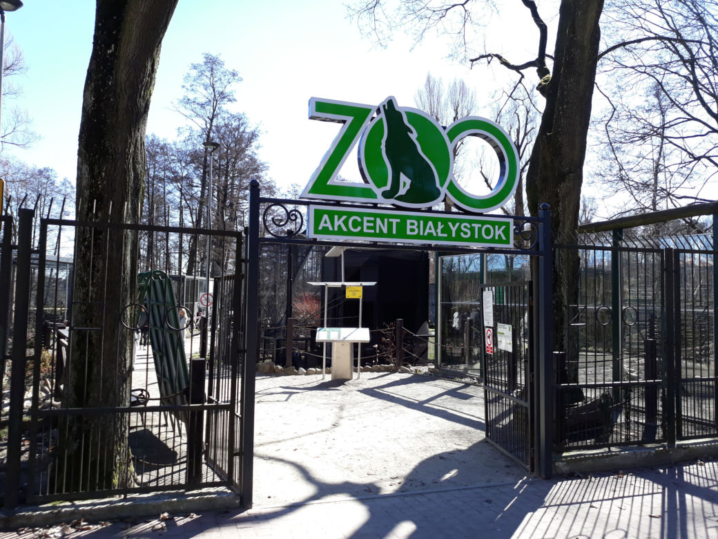 Akcent ZOO