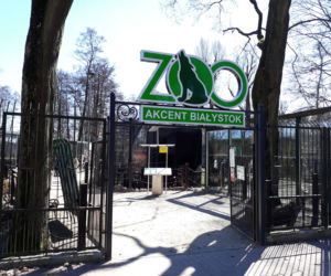 Akcent ZOO