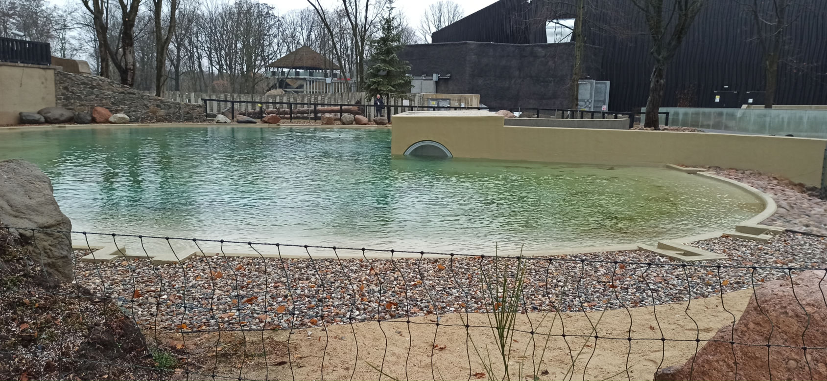 Pingwiny wróciły do łódzkiego zoo!