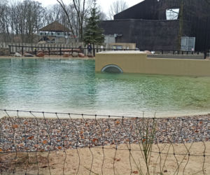 Pingwiny wróciły do łódzkiego zoo!