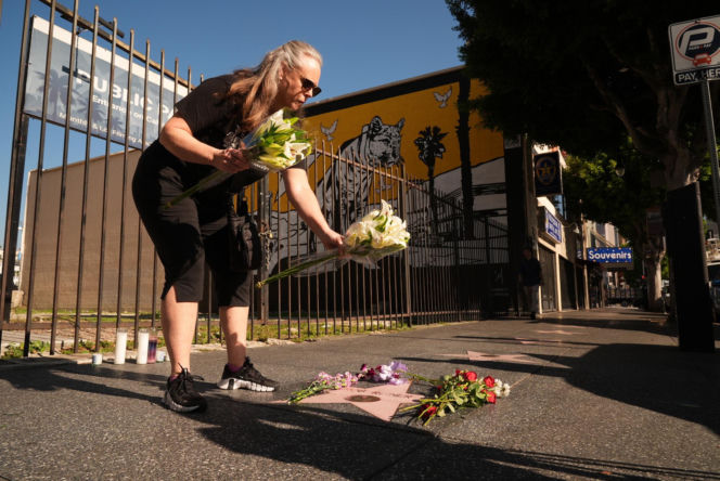 Rob Reiner i jego żona nie żyją. Ich syn aresztowany pod zarzutem zabójstwa.