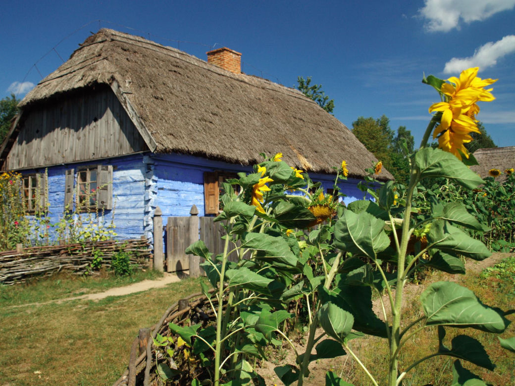 14. Kosakowo