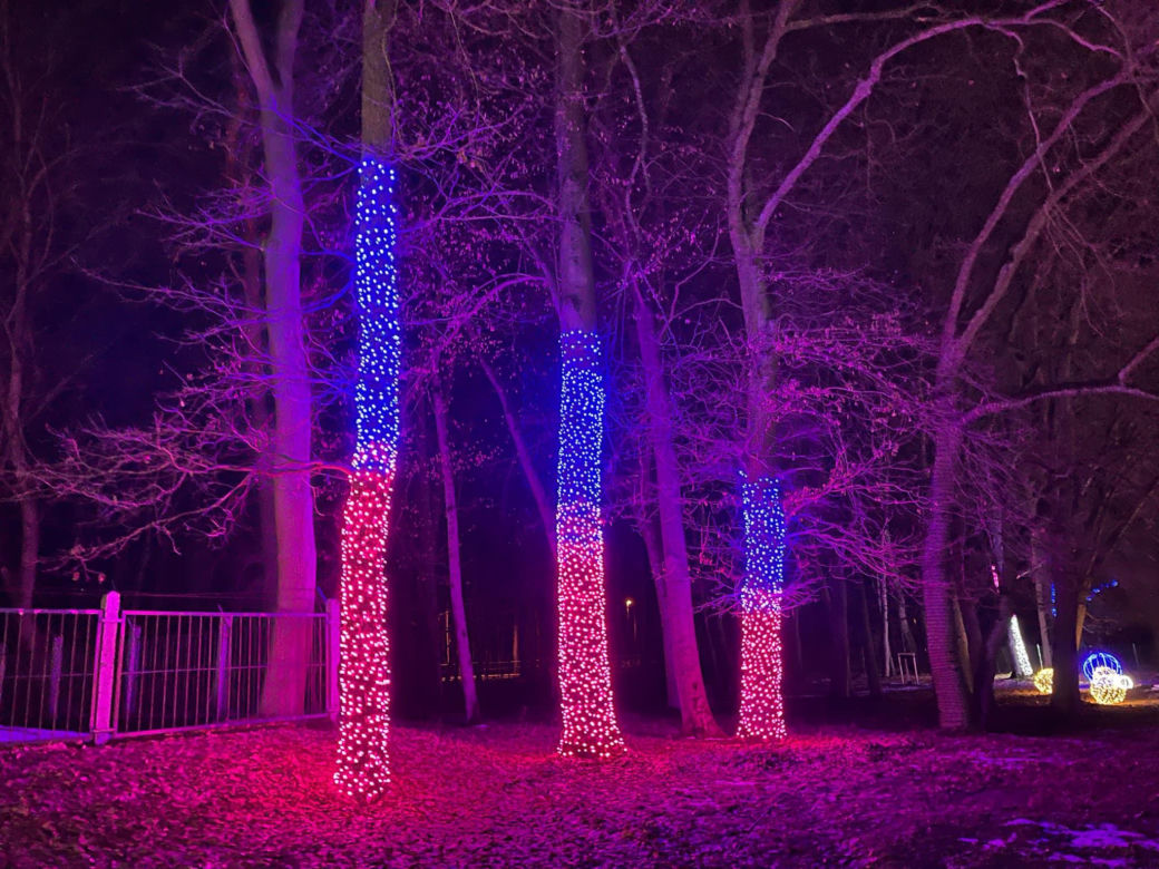 Garden of Lights w Szczecinie